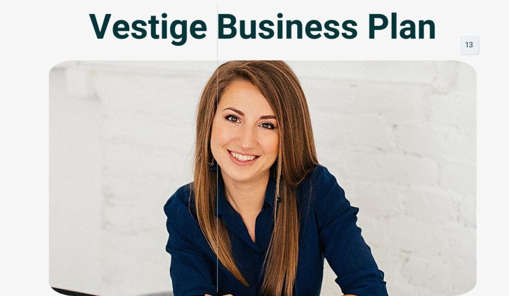 Vestige Business Plan